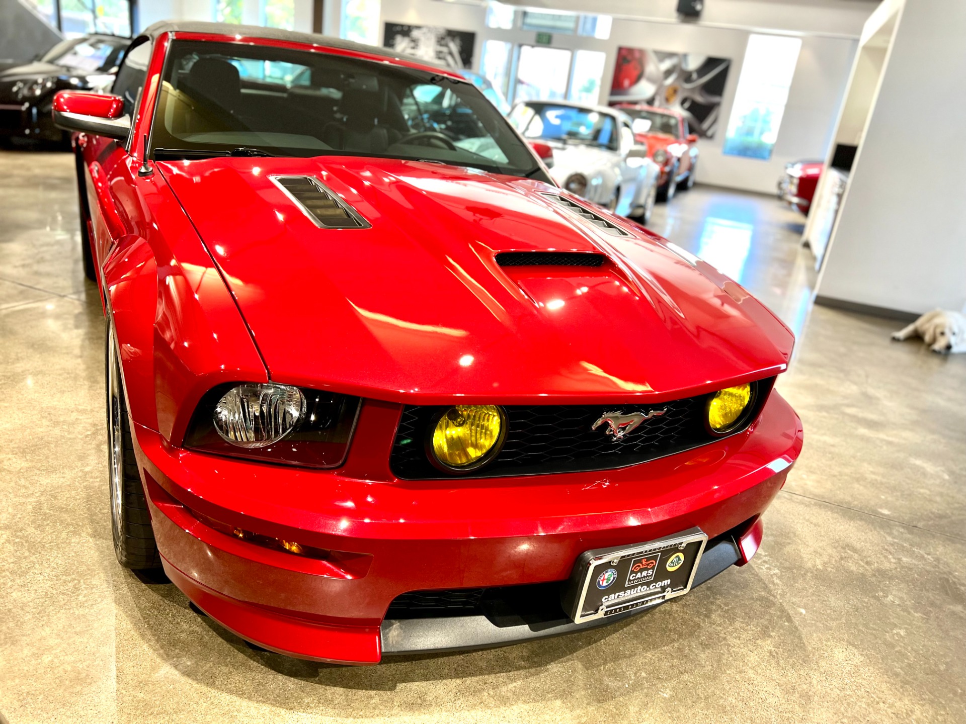 Used 2008 Ford Mustang GT Premium | St. Petersburg, FL