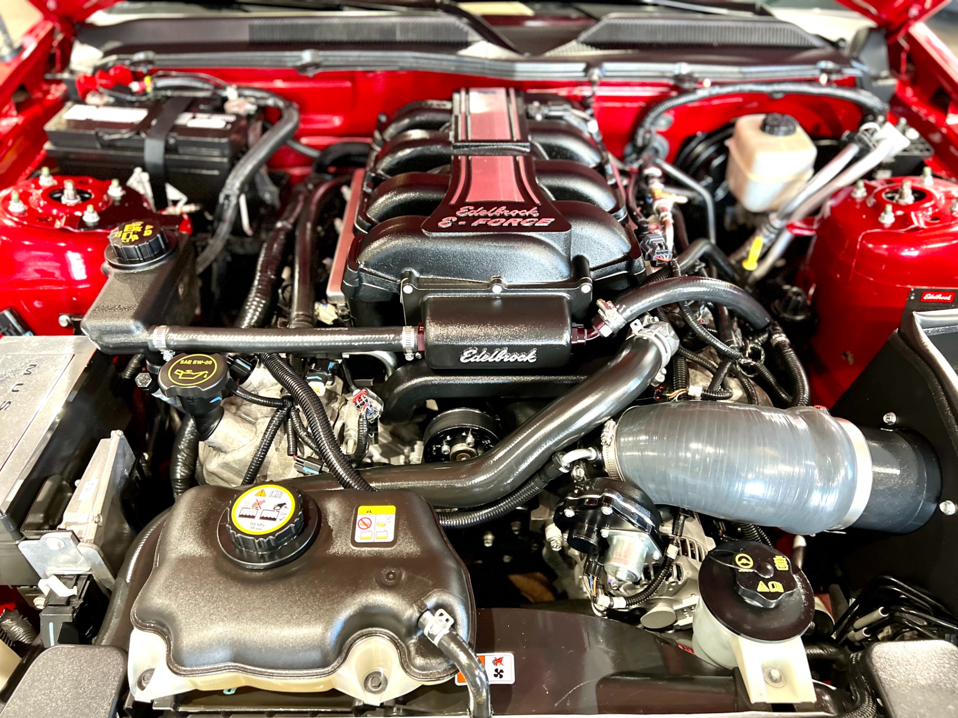 Used 2008 Ford Mustang GT Premium | St. Petersburg, FL
