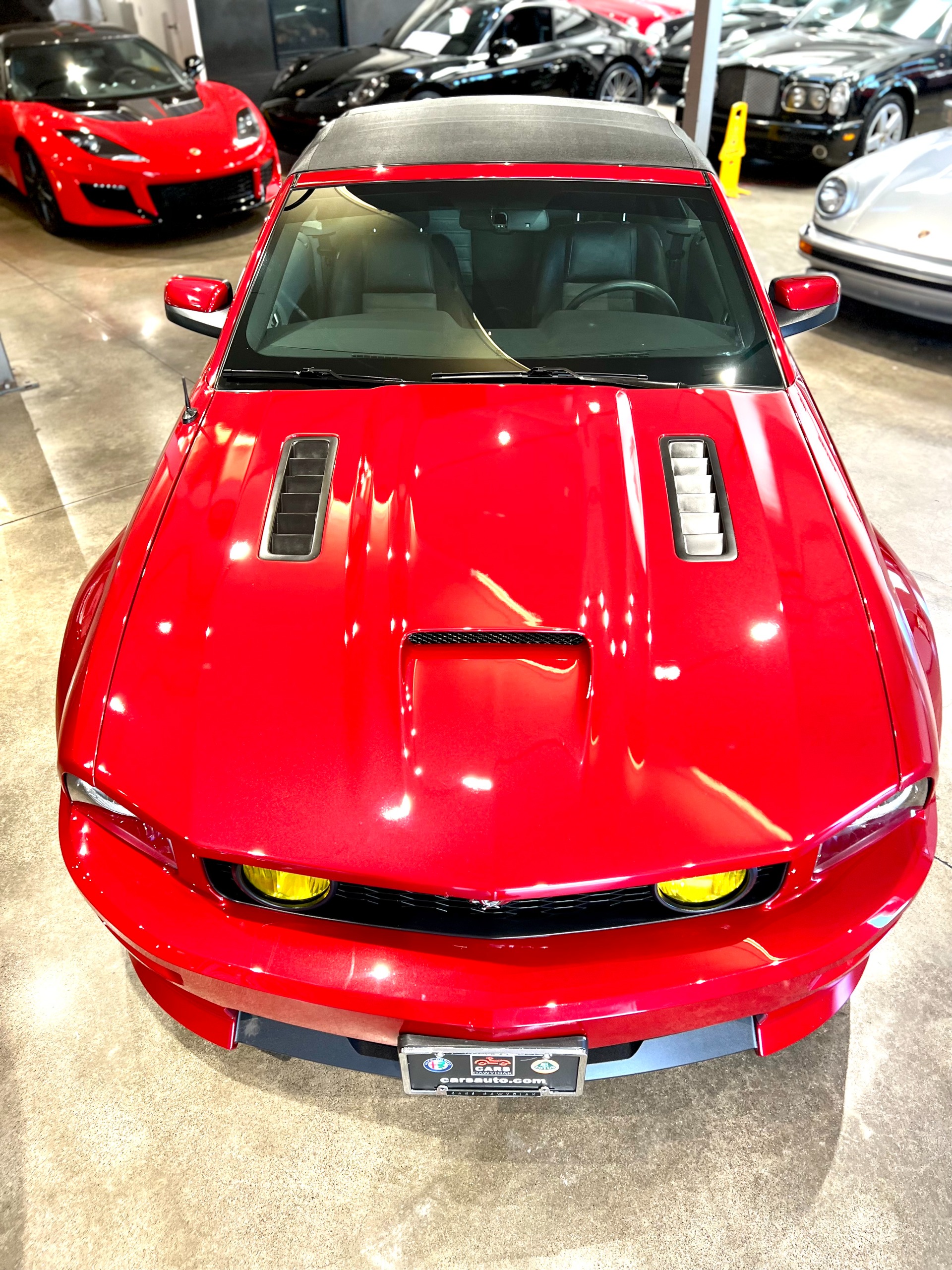 Used 2008 Ford Mustang GT Premium | St. Petersburg, FL