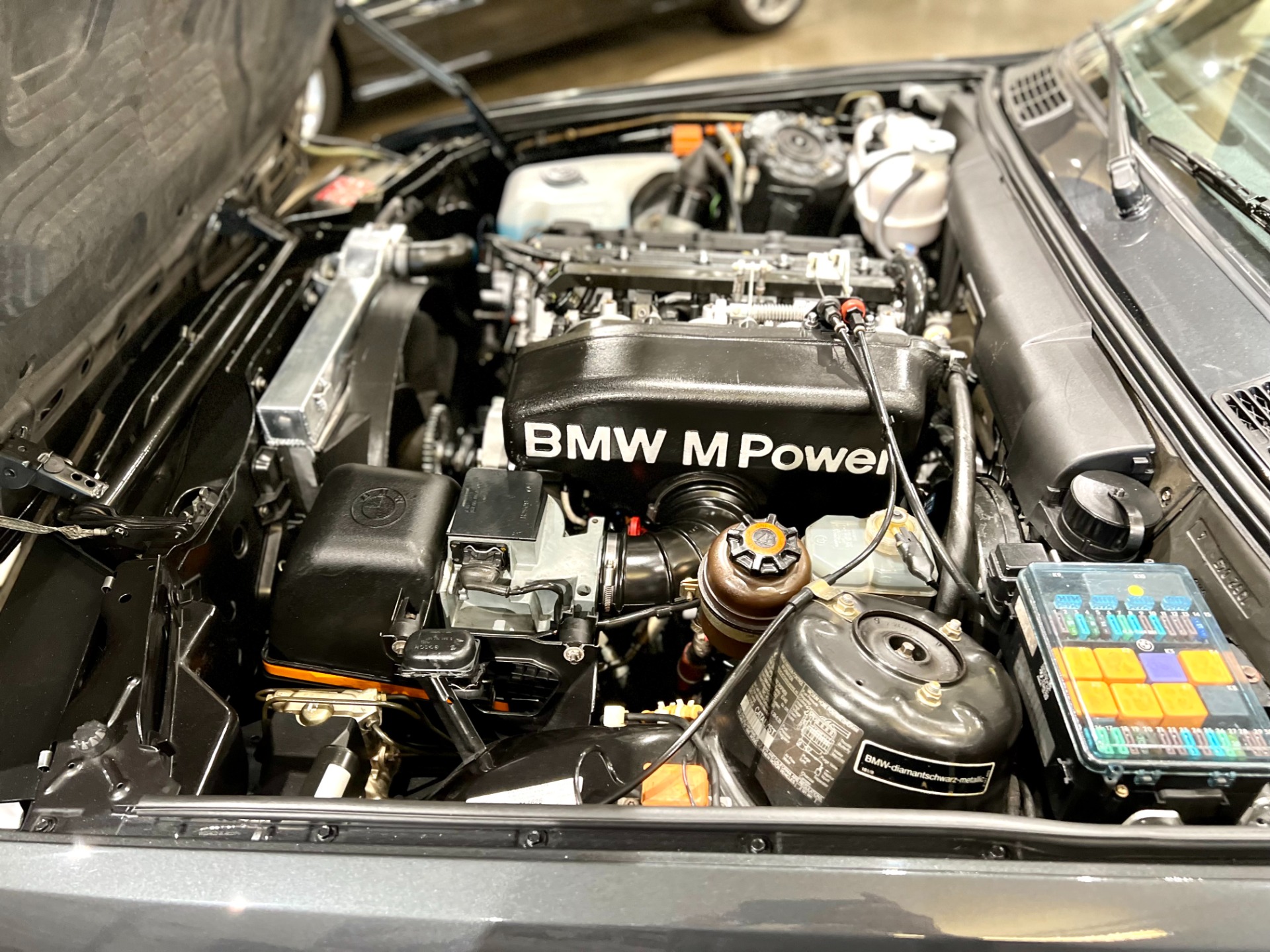 Used 1990 BMW M3 | St. Petersburg, FL