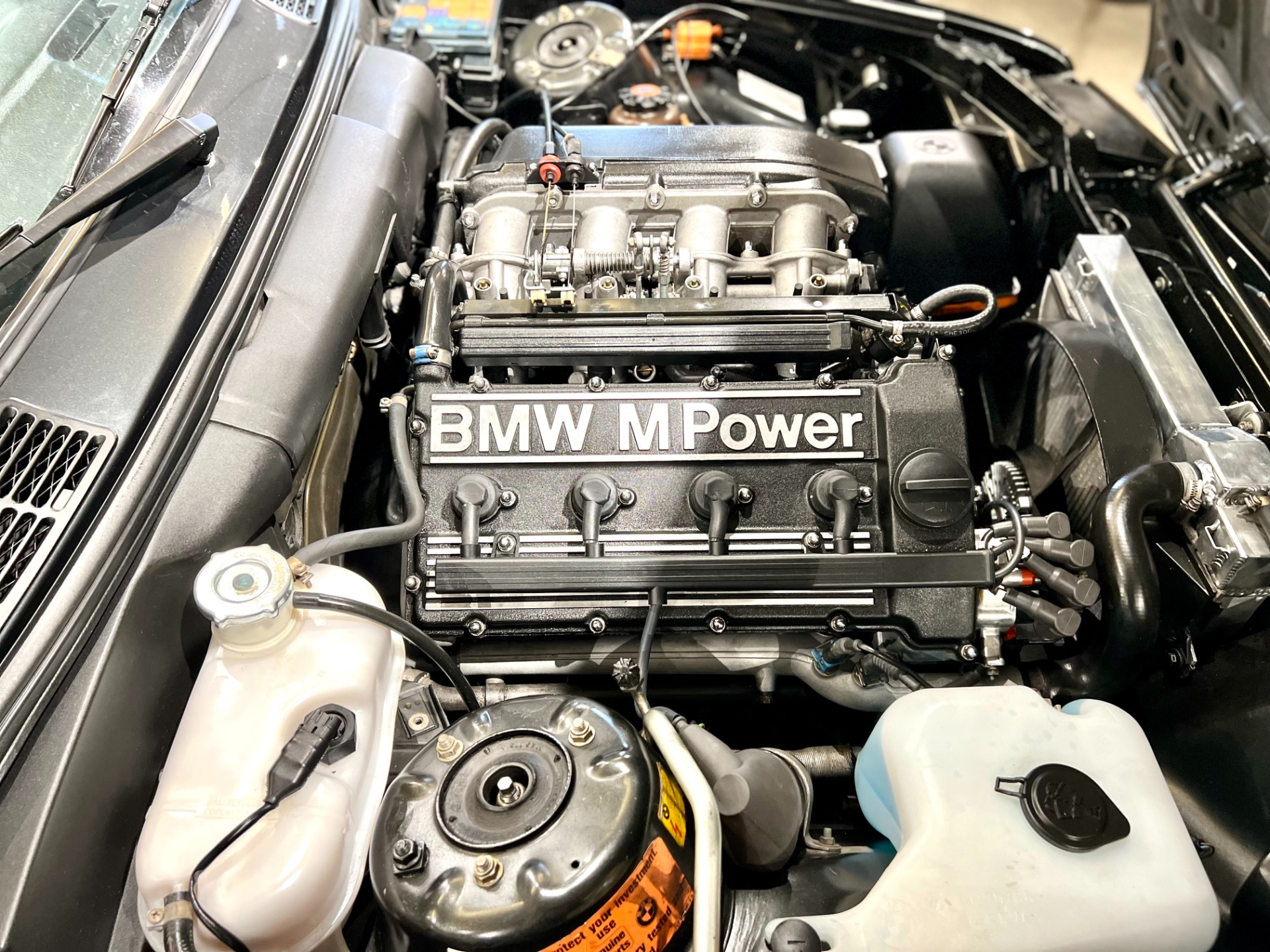 Used 1990 BMW M3 | St. Petersburg, FL
